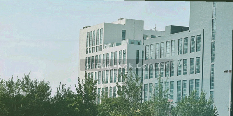 中欧移动端常用入口检索界面，放大镜图标与输入框快速定位赛事内容